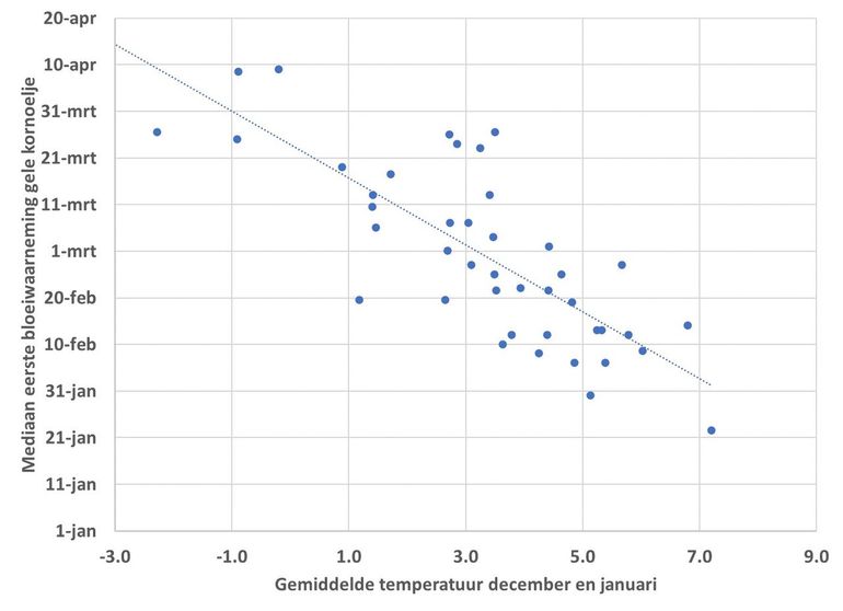 Relatie tussen de gemiddelde temperatuur in de maanden december en januari en de mediaan van de eerste bloeiwaarneming van gele kornoelje in Nederland