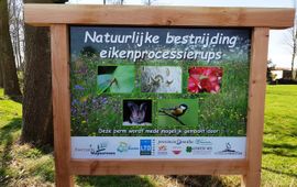 Bord project Boermarke Wapserveen, NAtuurlijke bestrijding eikenprocessierups