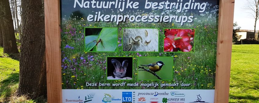 Bord project Boermarke Wapserveen, NAtuurlijke bestrijding eikenprocessierups