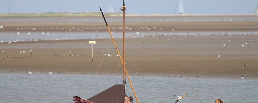 Nederland kent een groot aantal vogelrijke wetlands, waar doelstellingen gelden voor het aantal vogels