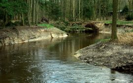 Provincie Noord-Brabant - Voor éénmalig gebruik Omgeving Valkenswaard, riviertje De Tongelreep.