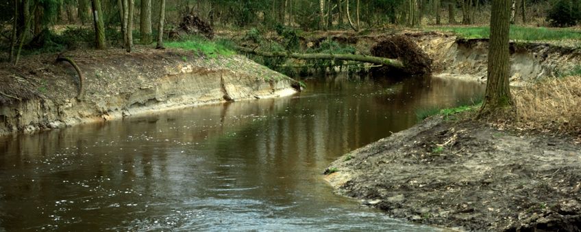 Omgeving Valkenswaard, riviertje De Tongelreep.