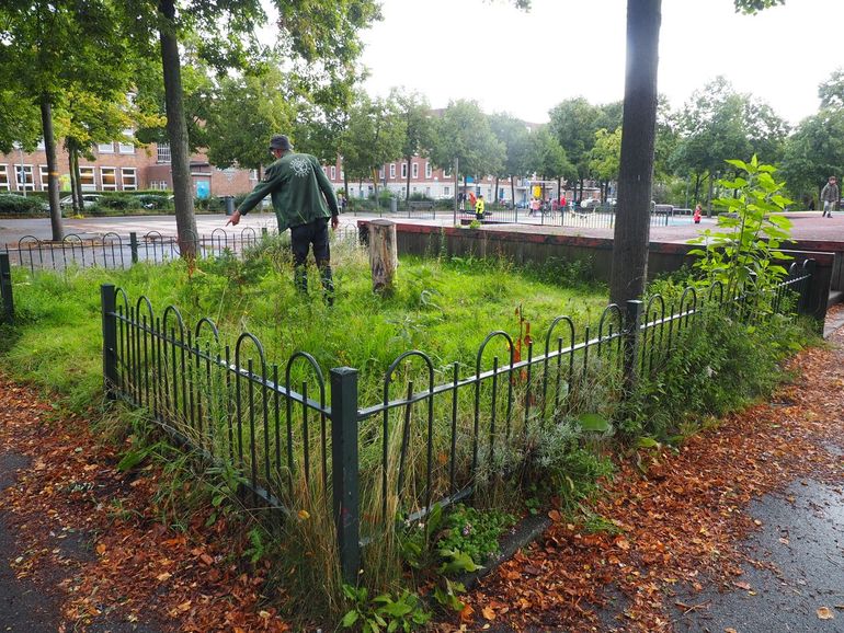 Een van die plannen is het realiseren van een babynatuurtuin voor kinderen van 0 tot 4 jaar in Park 1943. Jonge kinderen komen zo vrij in aanraking met de natuur en hun ouders hebben een leuke plek om elkaar te ontmoeten