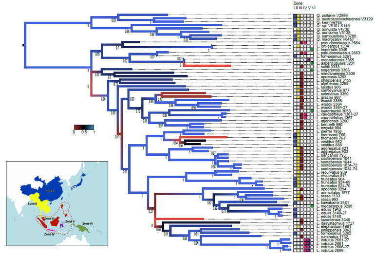 Maximum likelihood (ML) boom zoals gebruikt voor de analyse van de MIGseq loci met zes geografische zones. De kleuren aan het eind van de takken geven de verspreiding van iedere soort over deze zones aan.