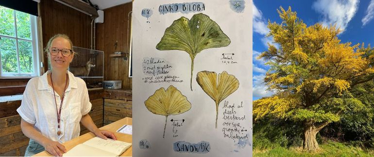 Arija Jansen met daarnaast een pagina uit haar nature journal met een foto van Ginkgo bilabo