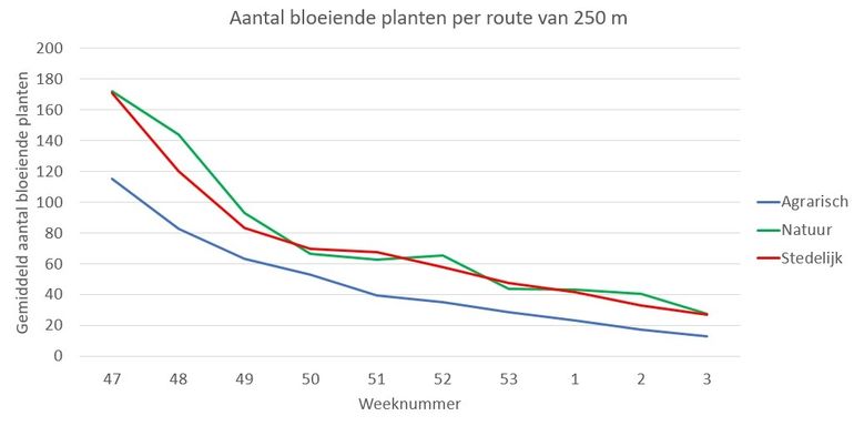 Het aantal planten per 250 meter berm of grasland nam langzaam af tijdens de wintermaanden