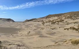 OBN duinen van Schoorl
