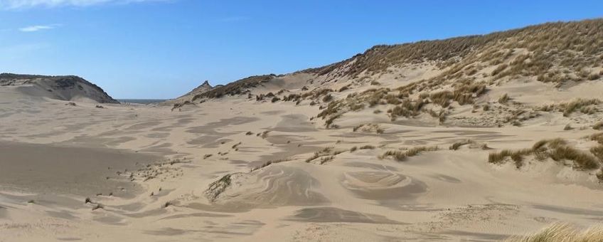 duinen van Schoorl