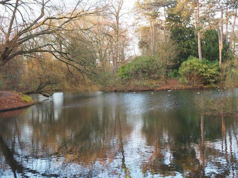 Dit mooie meertje is een van mijn favoriete plekjes in het Julianapark