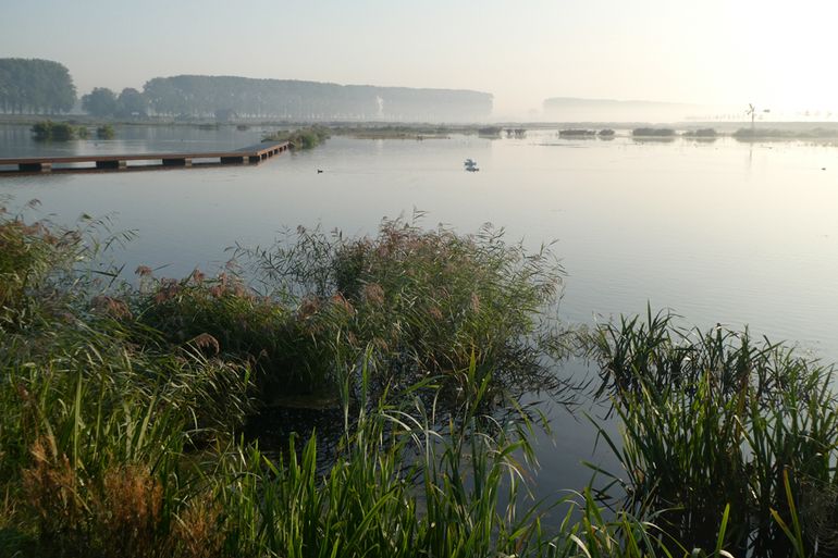 Nieuw recreatiegebied in de Biesbosch