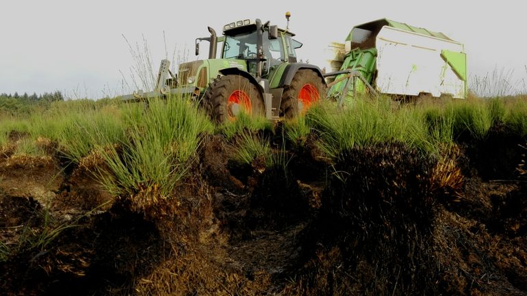 Herstelmaatregelen zoals chopperen zijn nodig om het beoogde herstel te realiseren