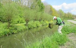 Veldwerker Sietze van Dijk inventariseert soorten in de Utrechtse natuur