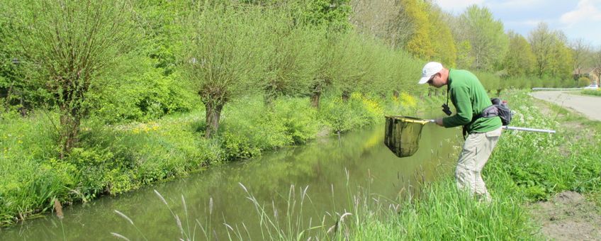 Veldwerker Sietze van Dijk inventariseert soorten in de Utrechtse natuur