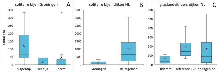 Het aantal solitaire bijen op Groninger slaperdijken is weliswaar hoger ten opzichte van zeedijken en wegbermen (A), maar valt in het niet in vergelijking met de aantallen die in het deltagebied worden aangetroffen (B). Het aantal graslandvlinders was vrij laag op de slaperdijken in het Oldambt, maar de referentiedijk in Noord-Groningen laat zien dat hogere aantallen wel degelijk mogelijk zijn, vergelijkbaar met het deltagebied (C). Met een boxplot wordt de verdeling van aantallen op de verschillende dijken weergegeven. De blauwe box verbeeldt het zwaartepunt van de tellingen met de horizontale lijn als mediaan en de X als gemiddelde. De verticale lijnen geven de buitenste 25 procent weer