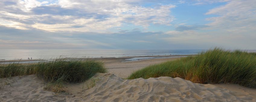 duingebied Hollandse Duinen