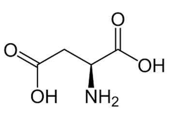 Asparaginezuur