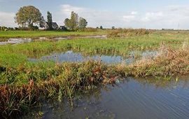 Stichting RAVON