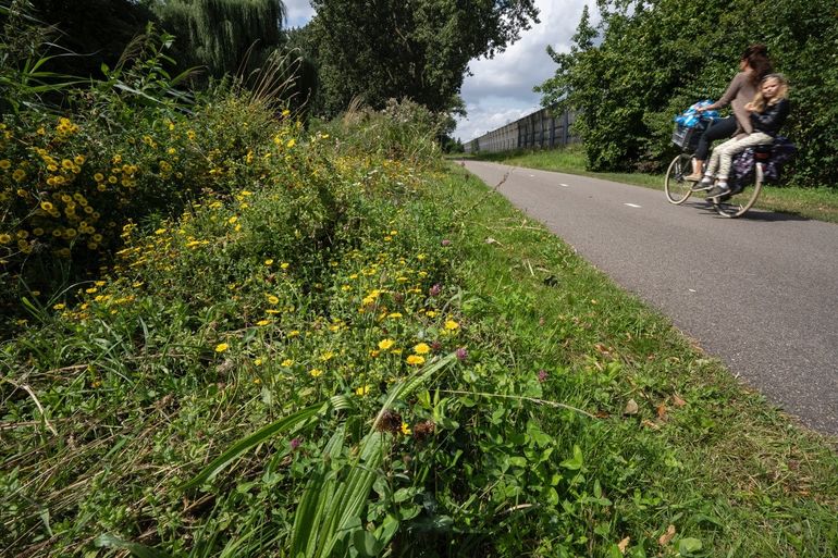 Op de fiets door het groenste Fietsnetwerk van Nederland