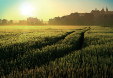 Vorstelijk Landschap - Koningshoeven