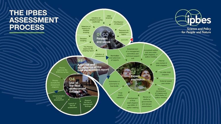 IPBES Assessment Process