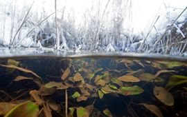 Blikonderwater onder water ijs en sneeuw