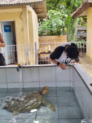 Monique bij een zeeschildpad in de opvang