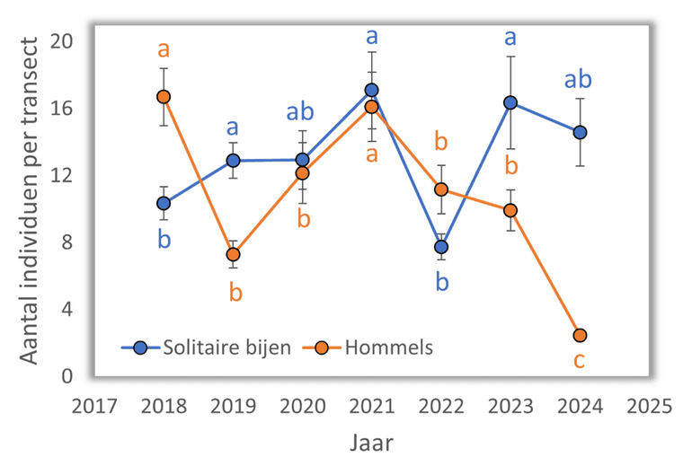 Dichtheden van hommels en solitaire bijen in de zeven jaar sinds het begin van het initiatief 'Boshommellandschap Geuldal'. Gemiddelden en standaardfouten zijn gebaseerd op 135 transecten die elk drie keer geteld zijn. Jaren met verschillende letters verschillen significant van elkaar