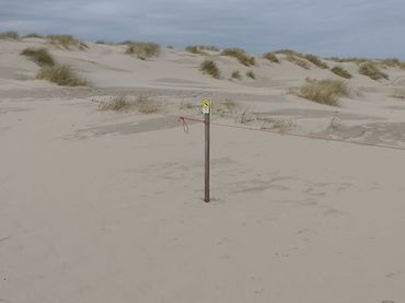 Afzetting voor het beschermen van strandbroeders op Texel