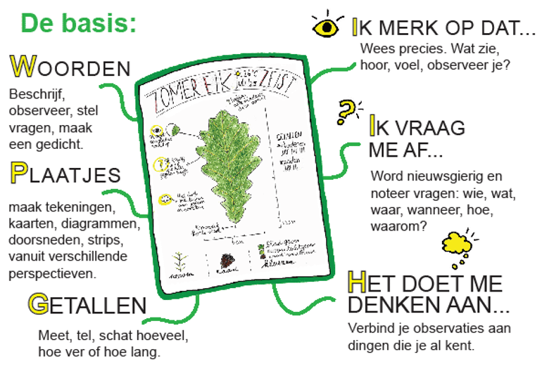 Bladzijde uit &lsquo;Snel aan de slag met nature journaling&rsquo; 