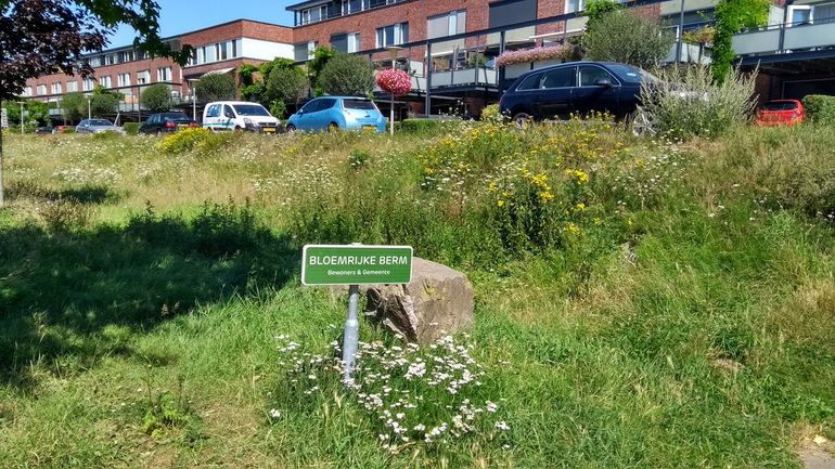 Ecologisch bermbeheer zorgt voor meer betrokkenheid van bewoners