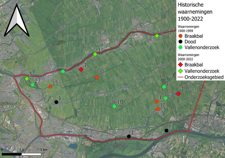 Historische waarnemingen van waterspitsmuizen in de periode van 1900 tot 2022