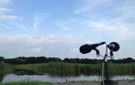 buitenmicrofoon Vroege Vogels