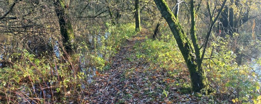 Pad over dijkje door natuurgebied