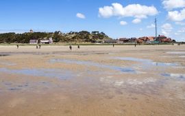 Groene strand terschelling