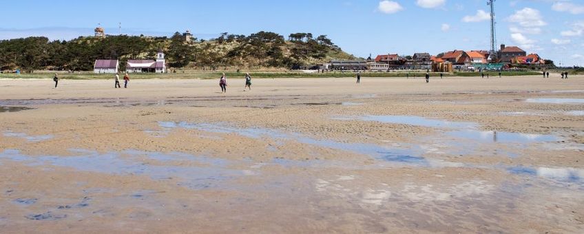 Groene strand terschelling