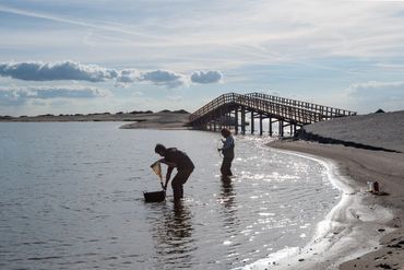 Onderzoek op de Marker Wadden