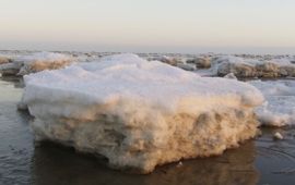 Harm Albers IJsschots waddenzee