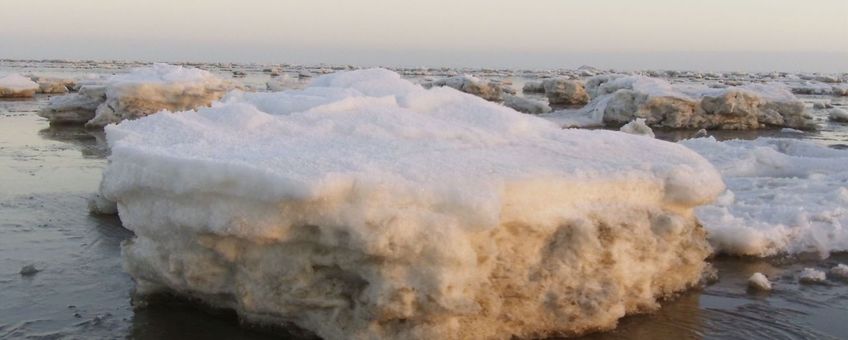 IJsschots waddenzee