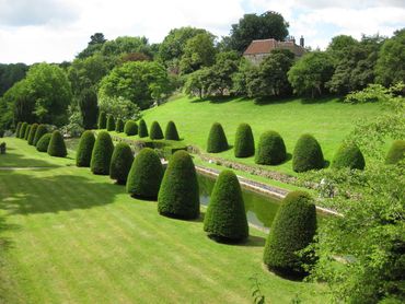 Keurig geschoren taxusstruiken in de tuin van Mapperton House in Dorset