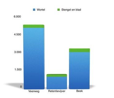 Biomassaverdeling per onderzoekslocatie in gram droge stof per vierkante meter