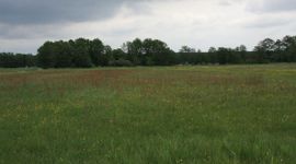 Landschap bij Marum, Groningen