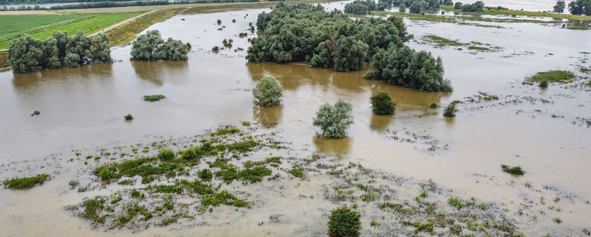 Afgelopen winter en voorjaar waren er 6 hoogwater golven in de Erlecomse waard.