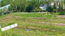 Vlinderbalans 2026 - primair