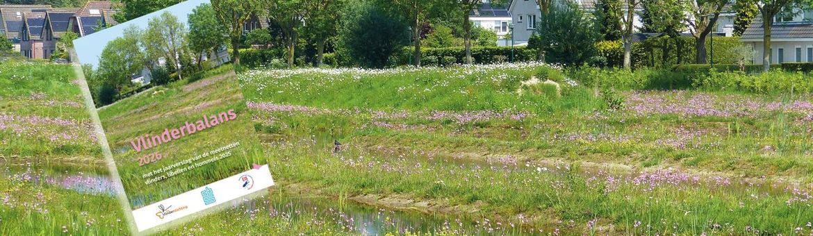 Vlinderbalans 2026 - primair