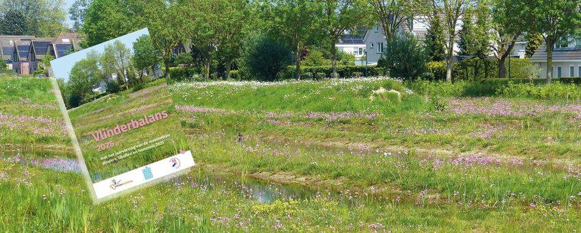 Vlinderbalans 2026 - primair