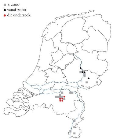 Verspreiding van Eubranchipus grubii in Nederland