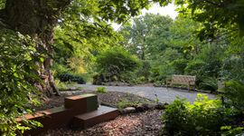 Bibliotheekbankje in de Varentuin, waarin je allerlei materialen aantreft met allerlei informatie over varens en de varentuin