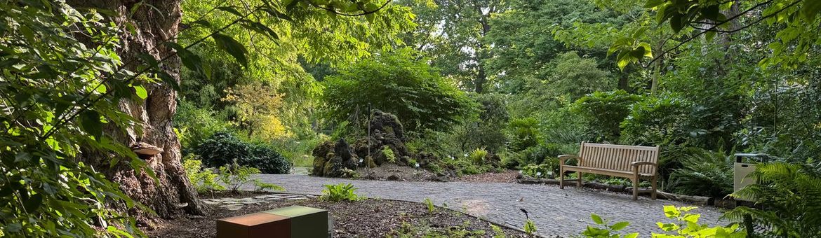 Bibliotheekbankje in de Varentuin, waarin je allerlei materialen aantreft met allerlei informatie over varens en de varentuin