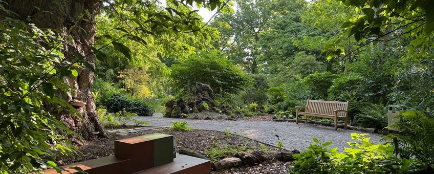 Bibliotheekbankje in de Varentuin, waarin je allerlei materialen aantreft met allerlei informatie over varens en de varentuin
