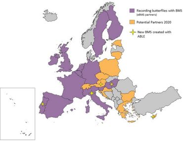 Status van het Europese vlindermeetnet januari 2020
